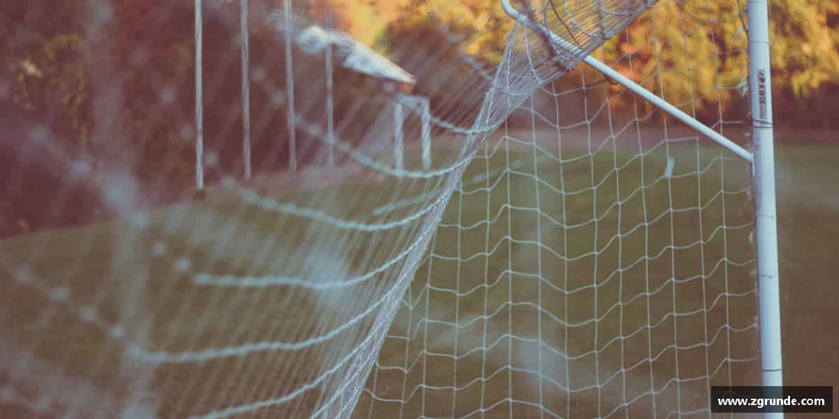 意昂体育平台青春无畏，梦想前行。